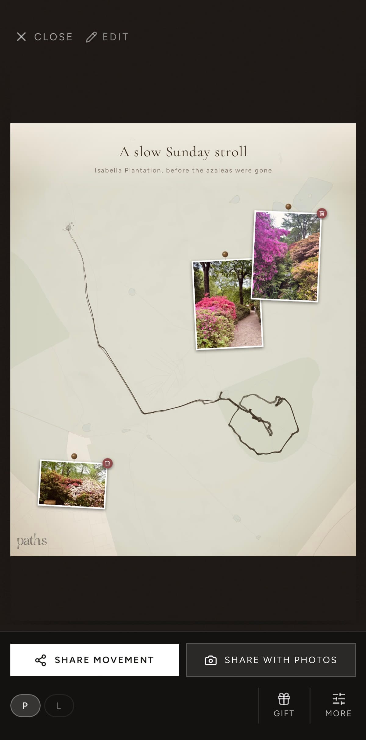 Bring it to life in Paths